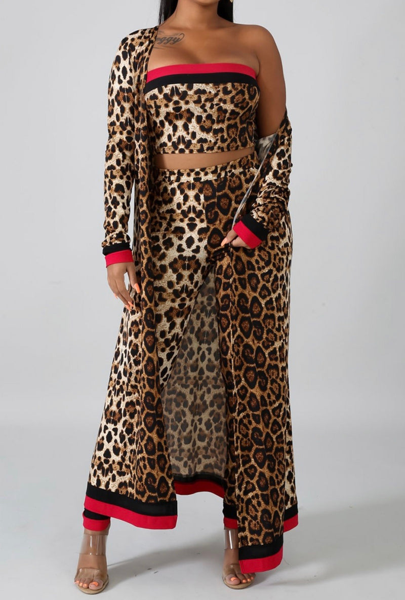 Leopard Print Cardigan Set